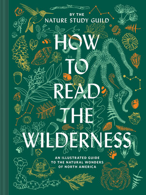cover image of How to Read the Wilderness